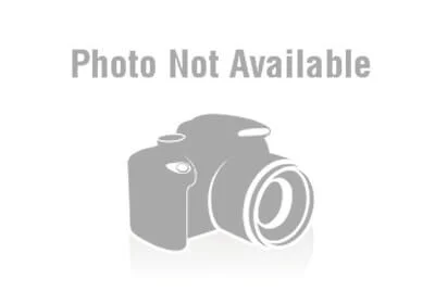 Khái niệm về catalogue và đóng lò xo
