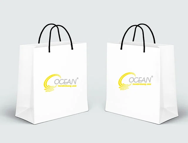 Lợi ích và lưu ý khi in túi giấy cho shop thời trang 