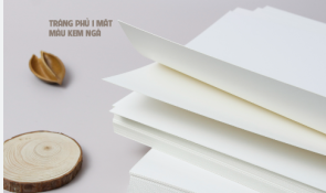 Giới thiệu về giấy ivory