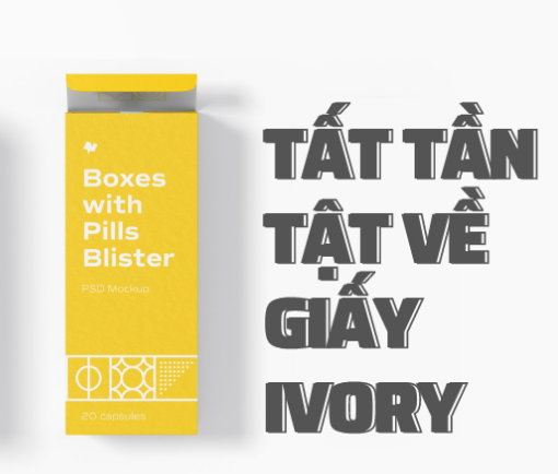  in nhanh giấy ivory là gì?