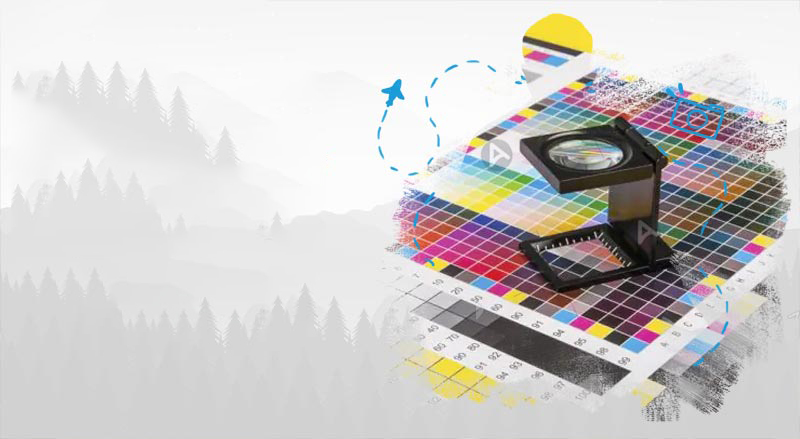 In test màu là gì và một số điều cần biết