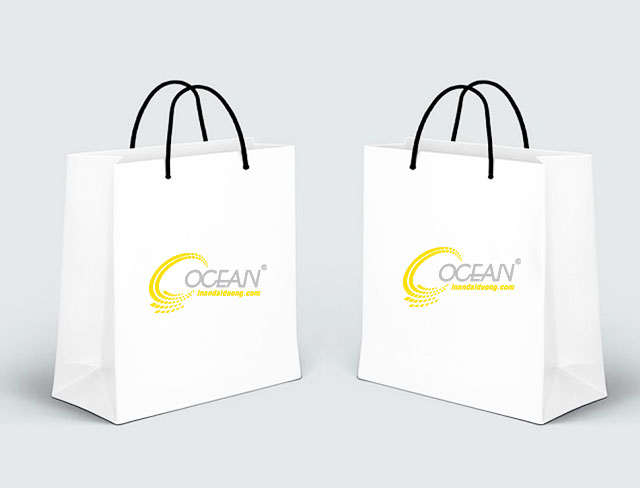 Lợi ích và lưu ý khi in túi giấy cho shop thời trang 